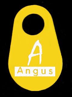 ANGUS Bag Tag - Sands Canada