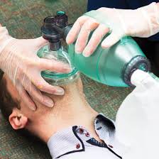 BVM Resuscitator - Intersurgical - Sands Canada
