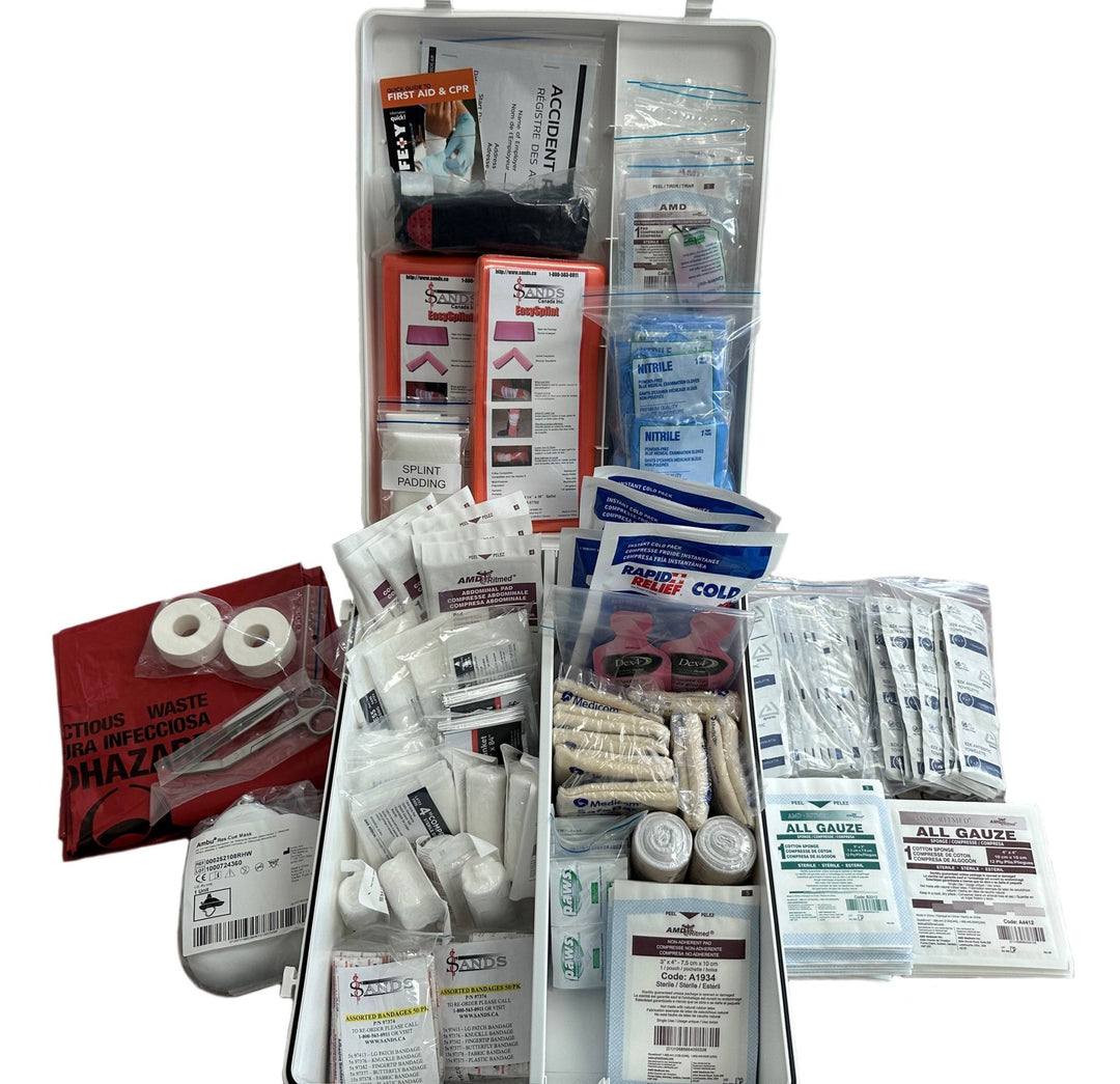 CSA Z1220 - 17 Type 3 Large 51 - 100 Employees - Sands Canada