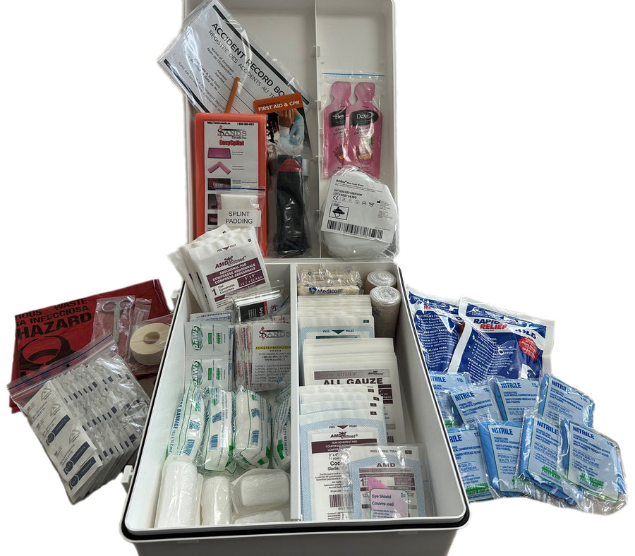 CSA Z1220 - 17 Type 3 Medium 26 - 50 Employees - Sands Canada