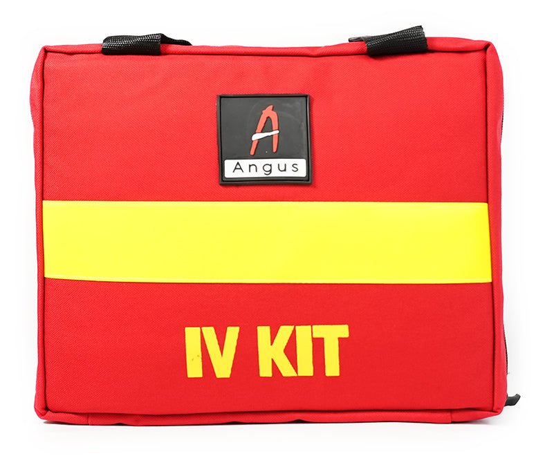 IV Module - Sands Canada